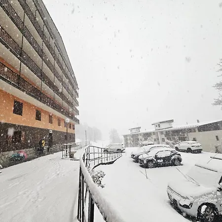 La Gemellina Limone Piemonte
